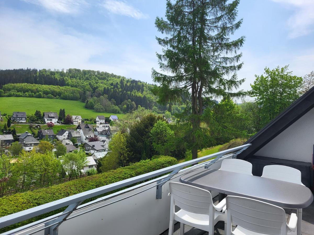 Panoramablick - 3 Apartment Winterberg